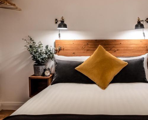 Galway Hotel | Black Cat