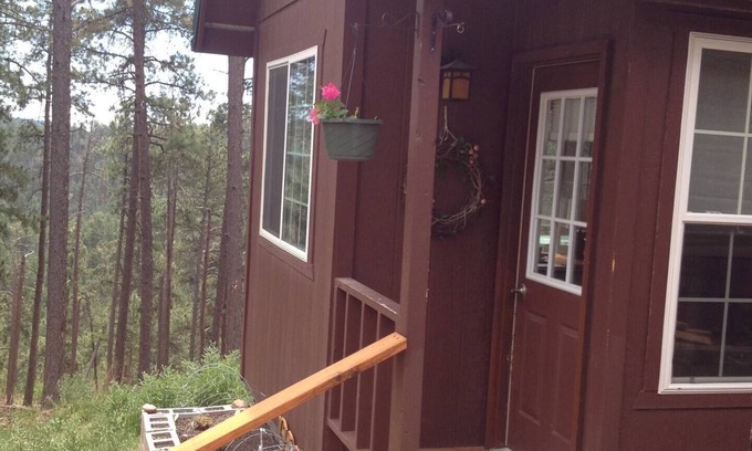 Rapid City Cottage | Black Hills Mountain Top Cabin with Great Views