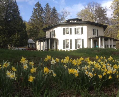Hammondsport Bed & Breakfast | Black Sheep Inn and Spa