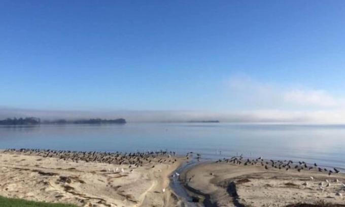 Clarks Beach Other | Black Swan Retreat--- Best of Heaven's Creations