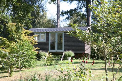 Chilworth Other | Blackdown shepherds hut