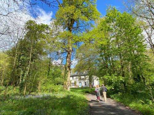 Abbeyleix House | Blackhill Woods Retreat