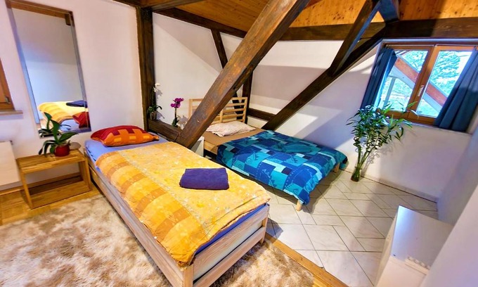 Munchenstein House | Blau bright room in nice apartment