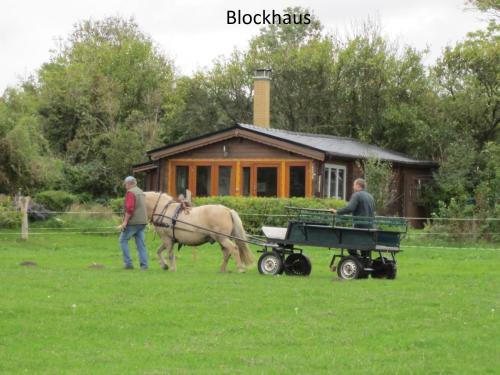 Alt Bukow House | Blockhaus Questin