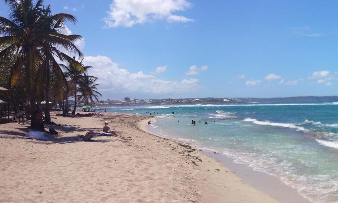 Grande-Terre Apartment | Blue and coral apartment