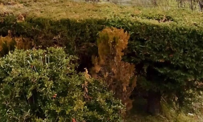 Dina Huapi Apartment | BLUE APARTS - Garden Superior