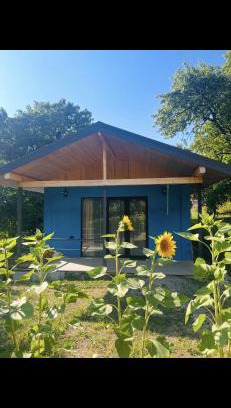 Likani House | blue bird
