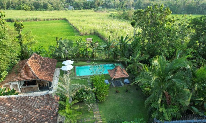 Bangunjiwo House | Blue Garden Yogyakarta