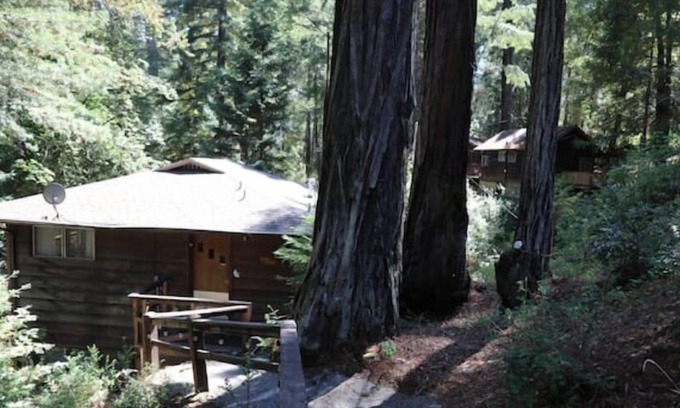 Garberville Apartment | "Blue Heron" Suite River Access In Redwoods WiFi