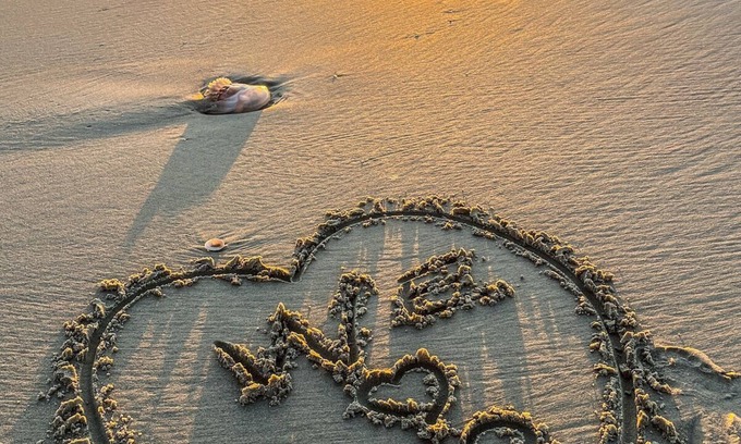 Cherry Grove Beach Condo | Blue Palms at the Beach · Blue Palms at the Beach