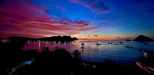 Labuan Bajo House | Blue Parrot