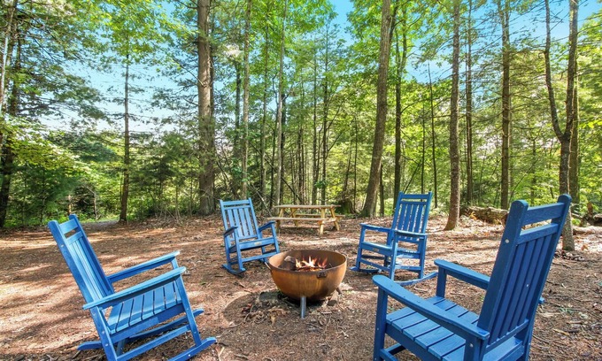 Laurel Springs Cabin | Blue Ridge Parkway/Off-Grid Cabin/Glamping/Hummingbird Hideaway