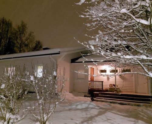 Rovaniemi Villa | Blue River