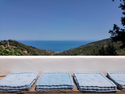 Ikaria House | Blue Vista-Ikaria