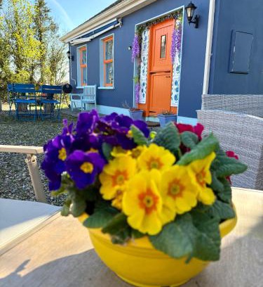 Shanavooneen House | Blueberry Tiny Home