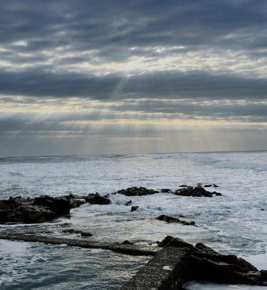 Palm Beach House | BlueHive guesthouse