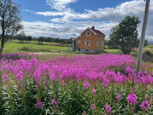 Dverberg House | Bogstrand, Dverbergveien 11, 8485 Dverberg