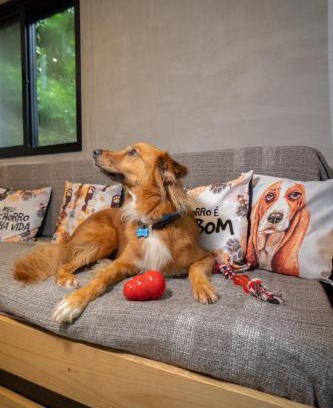 Morro de Sao Paulo Apartment | Bom pra Cachorro