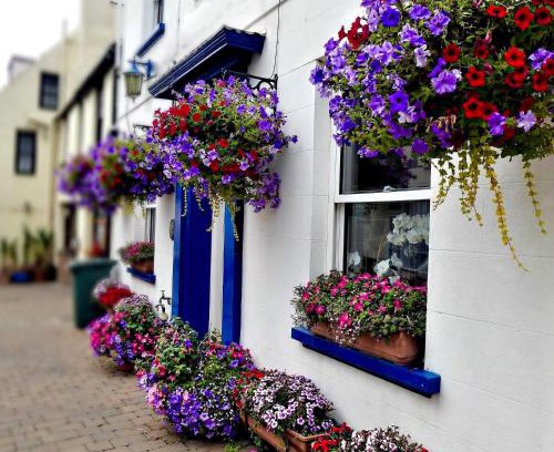 Alderney House | Bonjour Guest house