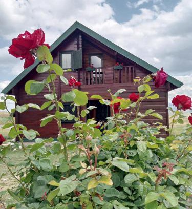 Razvrsje House | Boskovica Brvnare