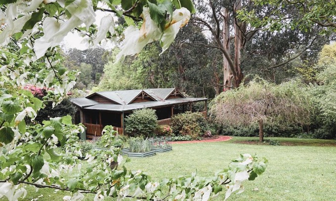 Olinda Bed & Breakfast | Botanica Retreat