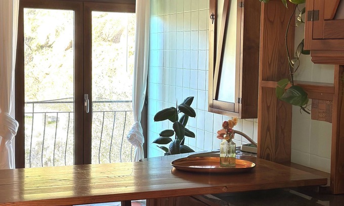 Oliveira do Hospital Apartment | Botanical Balcony Nest