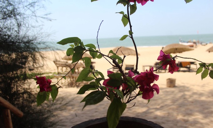 Patnem Cottage | Bougainvilleapatnem beautiful eco friendly cottages