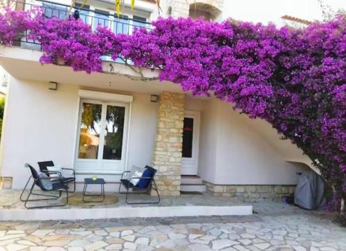 Hyeres Apartment | bougainvilliers