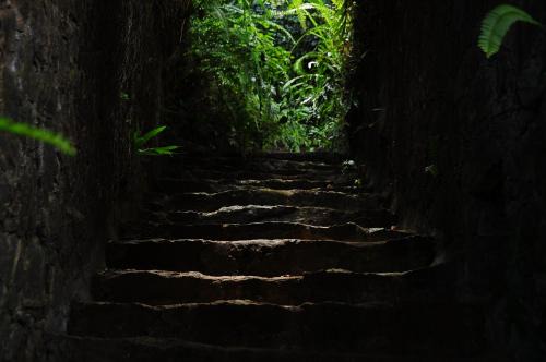 Kalawana Hotel | Boulder Garden