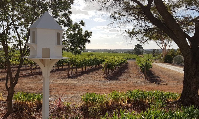 Penrice Cottage | Boutique accommodation peacefully set amongst you're own private vineyard