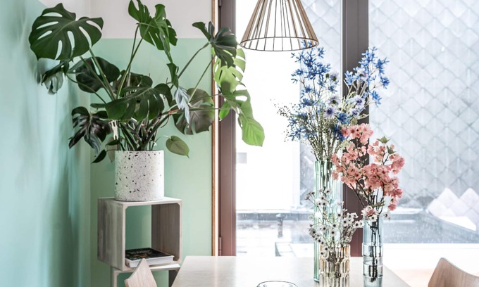 Sluizeken Bed & Breakfast | Boutique B&B Graaf.