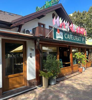Ruzomberok Hotel | Boutique hotel Vila Efekt