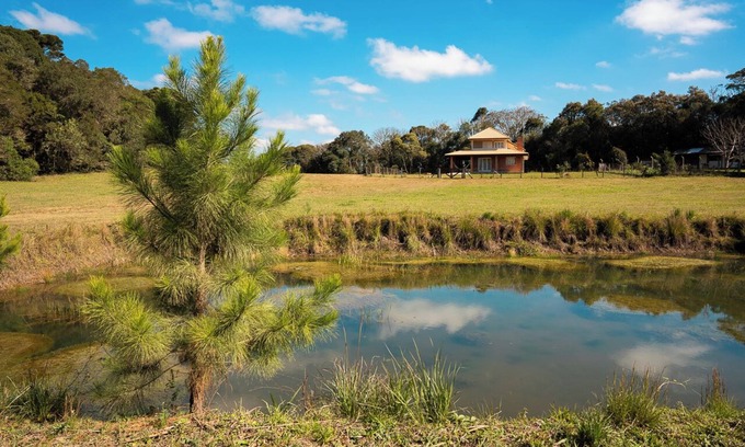 Miringuava Cottage | Cozy, nature-filled, pet-friendly cottage