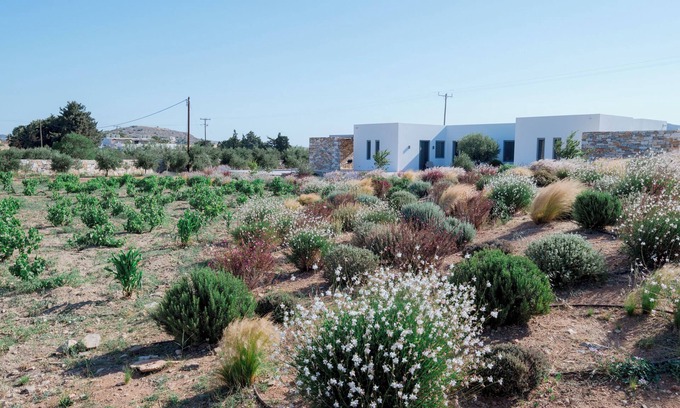 Piso Livadi Villa | Bracket House Paros Villa with Private Pool Sleeps 8