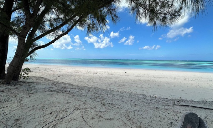 Whitby House | BRAND NEW Beachfront Villa best sandy beach in TCI with pool Fox Tail Palm Villa
