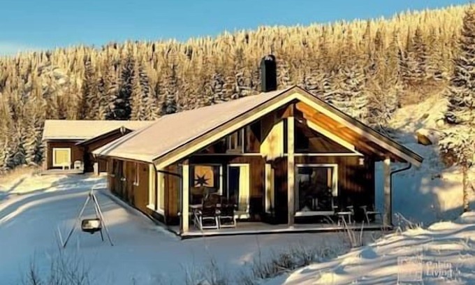 yer House | Brand new large cabin with sauna and ski in out