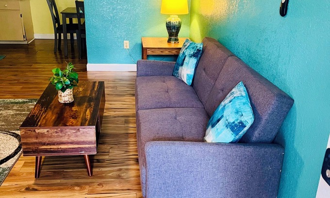 Safety Harbor Apartment | Brand new remodeled luxury apartment near park and marina!