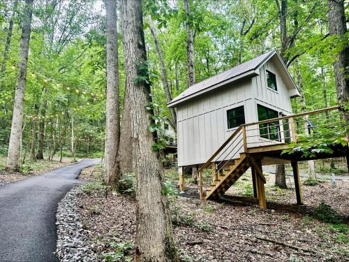 Groveoak House | Breathtaking Treehouse with Barbecue and Hot-tub in Scottsboro, Alabama