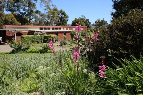 Richmond Apartment | Bridgecroft House - Spacious & serene family home