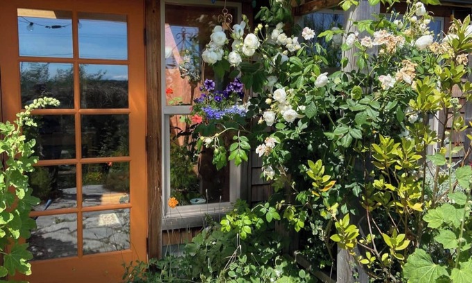 Lopez Island House | Bright art-filled home, fruit trees, valley view