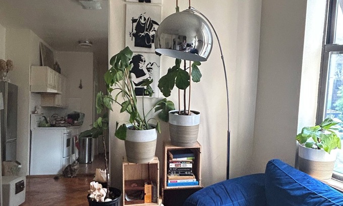 Brooklyn Apartment | BRIGHT, BOHO ARTIST 2 BED LOCATED 1 BLOCK FROM PROSPECT PARK & EXPRESS TRAIN