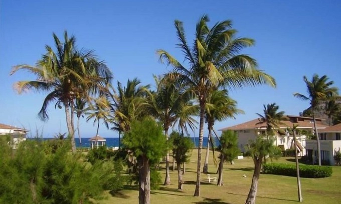 Frigate Bay Condo | Bright, Breezy Condo on the Palmy Shore
