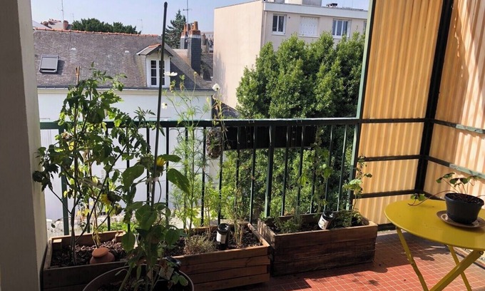 Talensac-Pont Morand Apartment | Bright T3 near downtown
