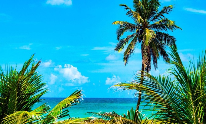 Barra Mar Hotel | Brisamar Hotel Pousada