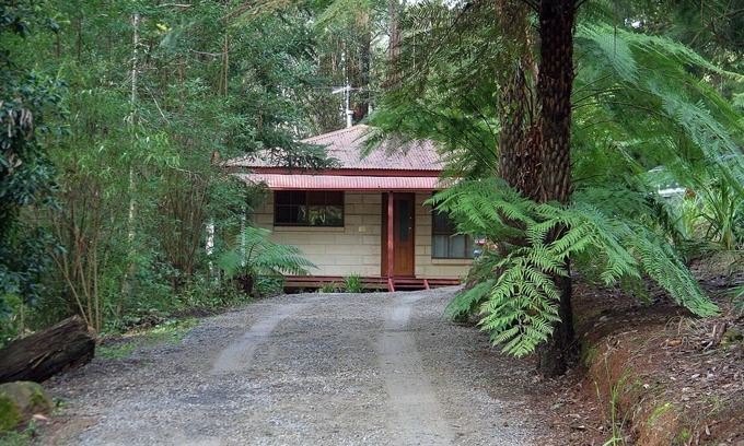 Mount Dandenong Cabin | Brook Cottage: Private rainforest with river