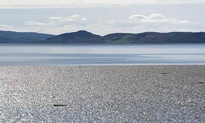 Balloch Bed & Breakfast | Broomlea