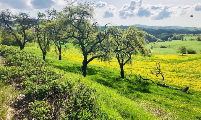 Sassen Cottage | Brunnenhof cottage rental