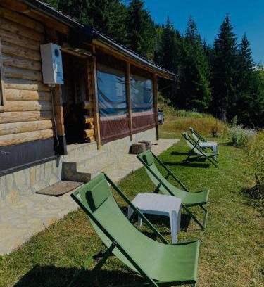 Montenegro Ski Chalet | Brvnara Gradišnjica