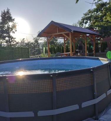 Bor House | Brvnara koliba