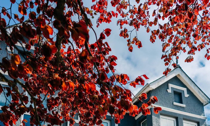 Tan-y-groes Hotel | Bryn Berwyn Country House